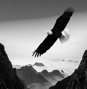 ��I(y��)�Ļ�